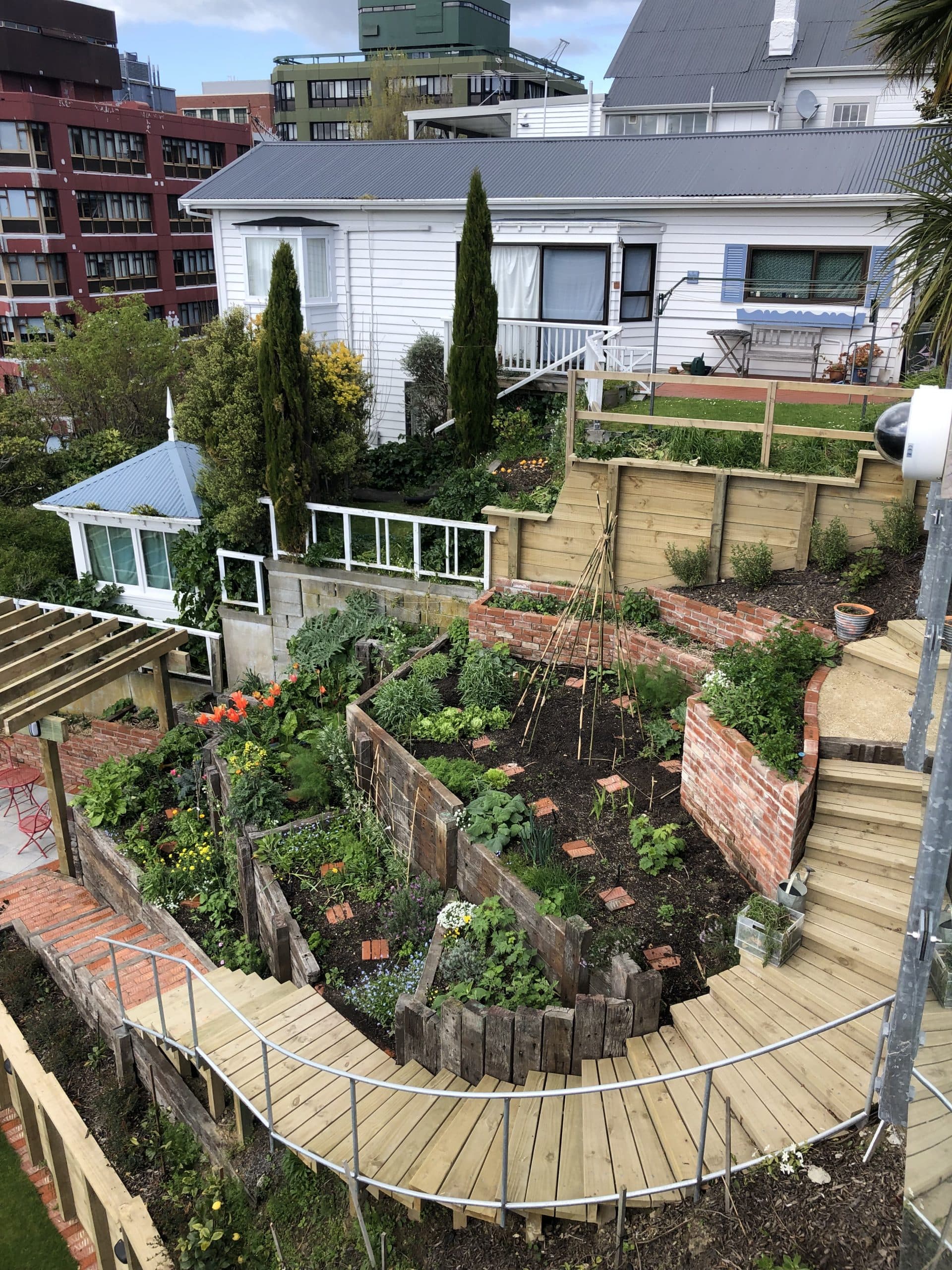 Steep Kelburn hillside terraced with sleeper and brick retaining by Distinctive Landscapes